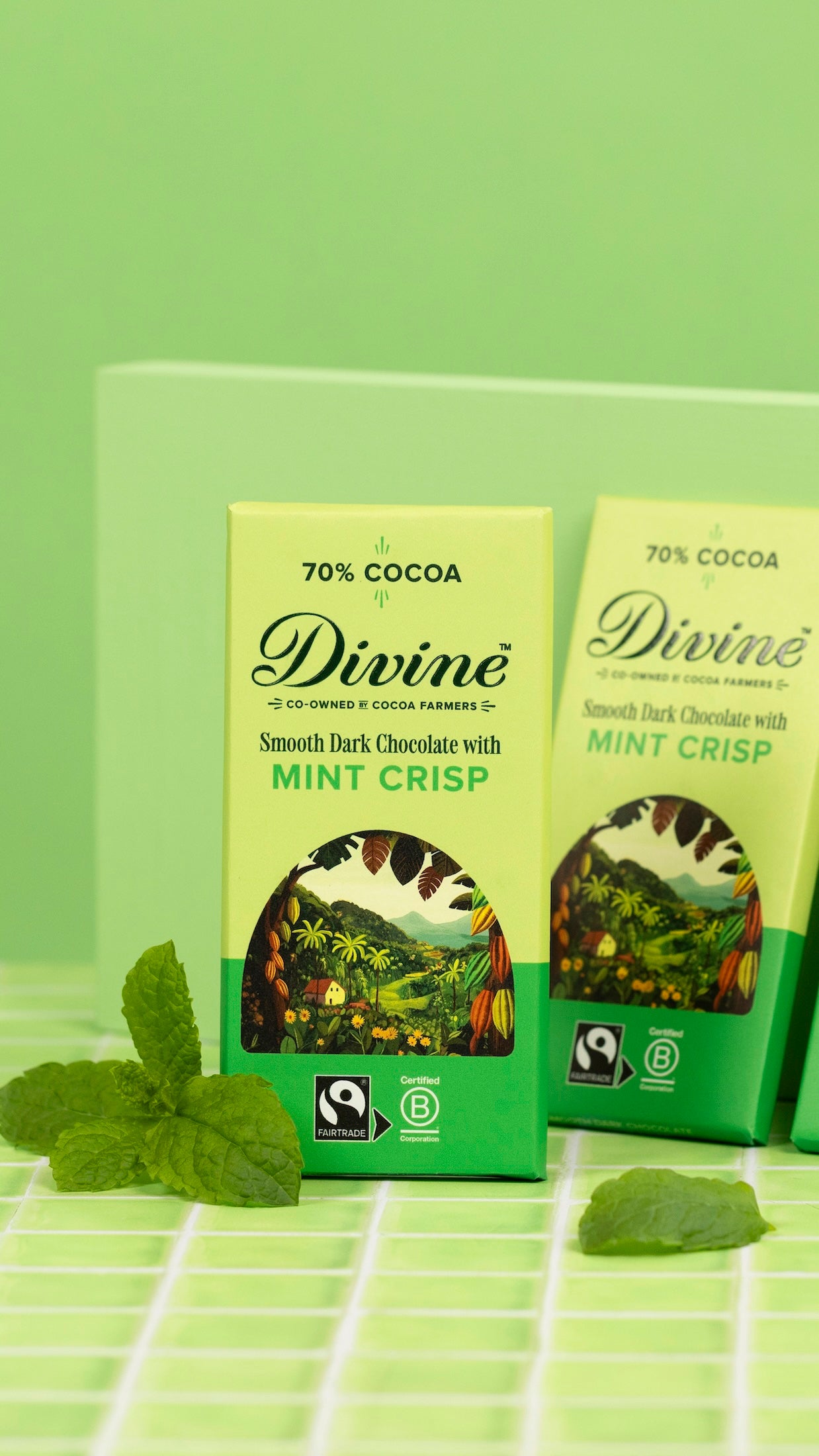 Divine 70% Dark Chocolate with Mint Crisp