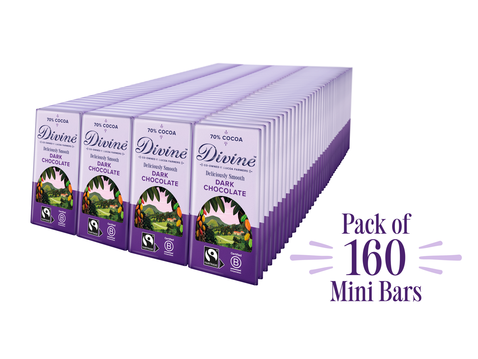 Divine 70% Dark Chocolate 12.5g bars x 160