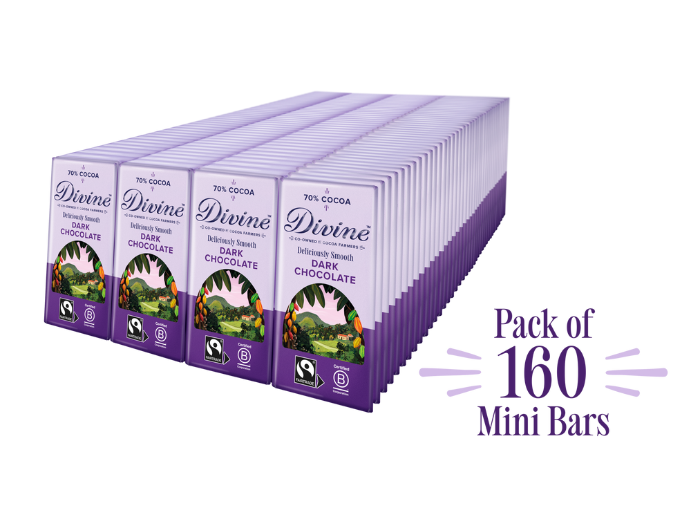 Divine 70% Dark Chocolate 12.5g bars x 160