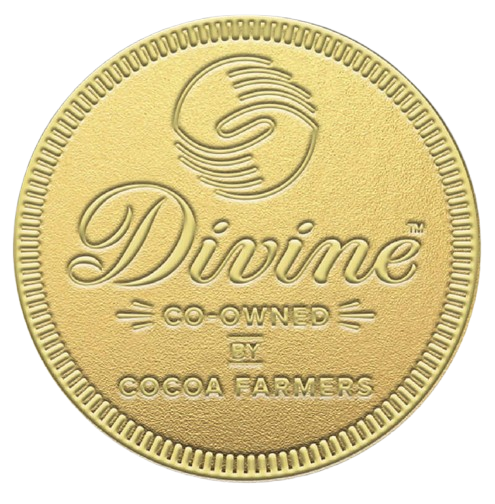 Divine Milk Chocolate Giant Coin 58g