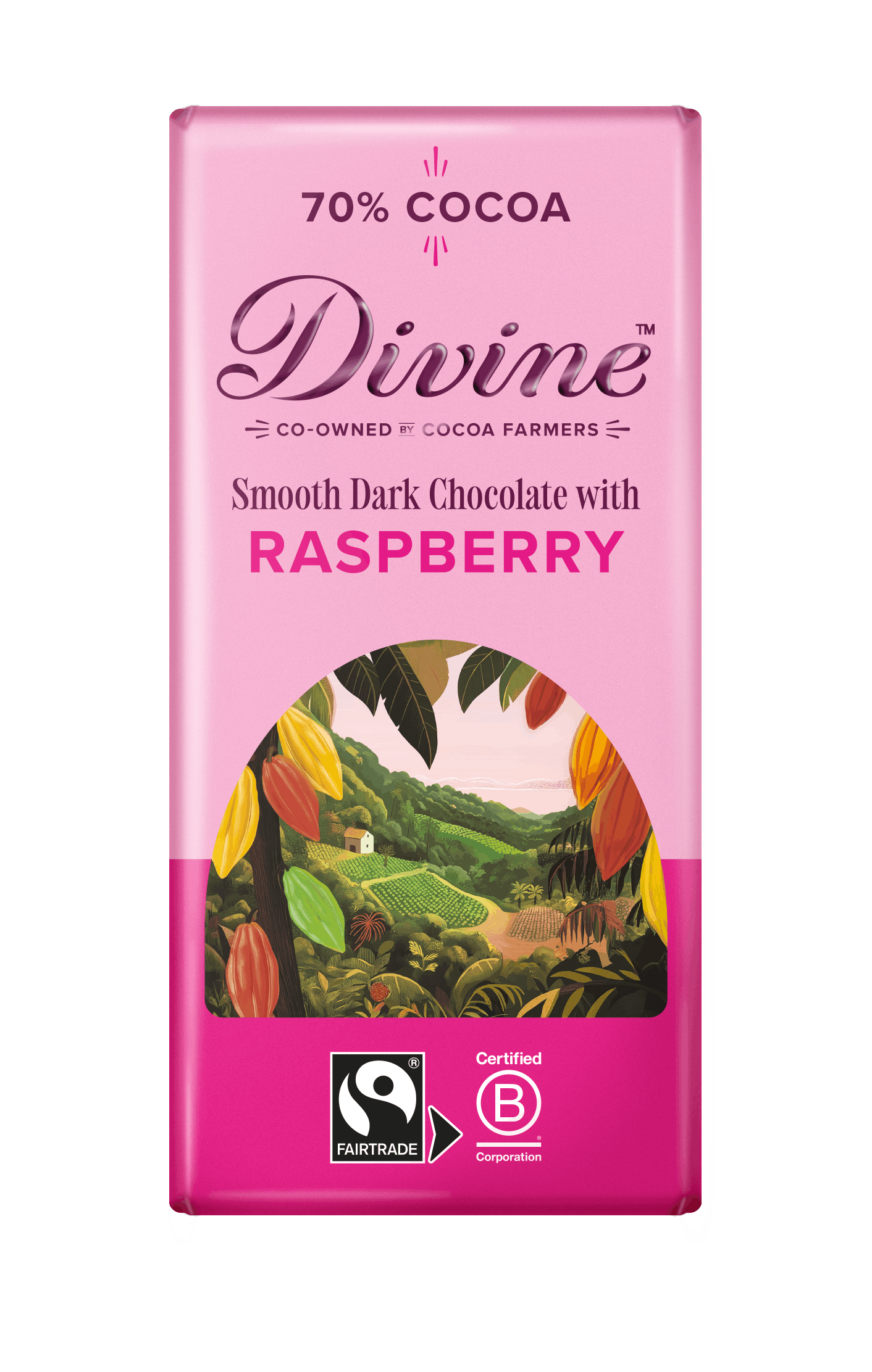Divine 70% Dark Chocolate with Raspberries