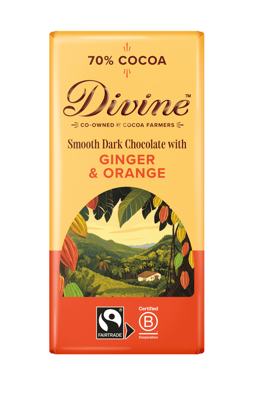 Divine 70% Dark Chocolate with Ginger & Orange