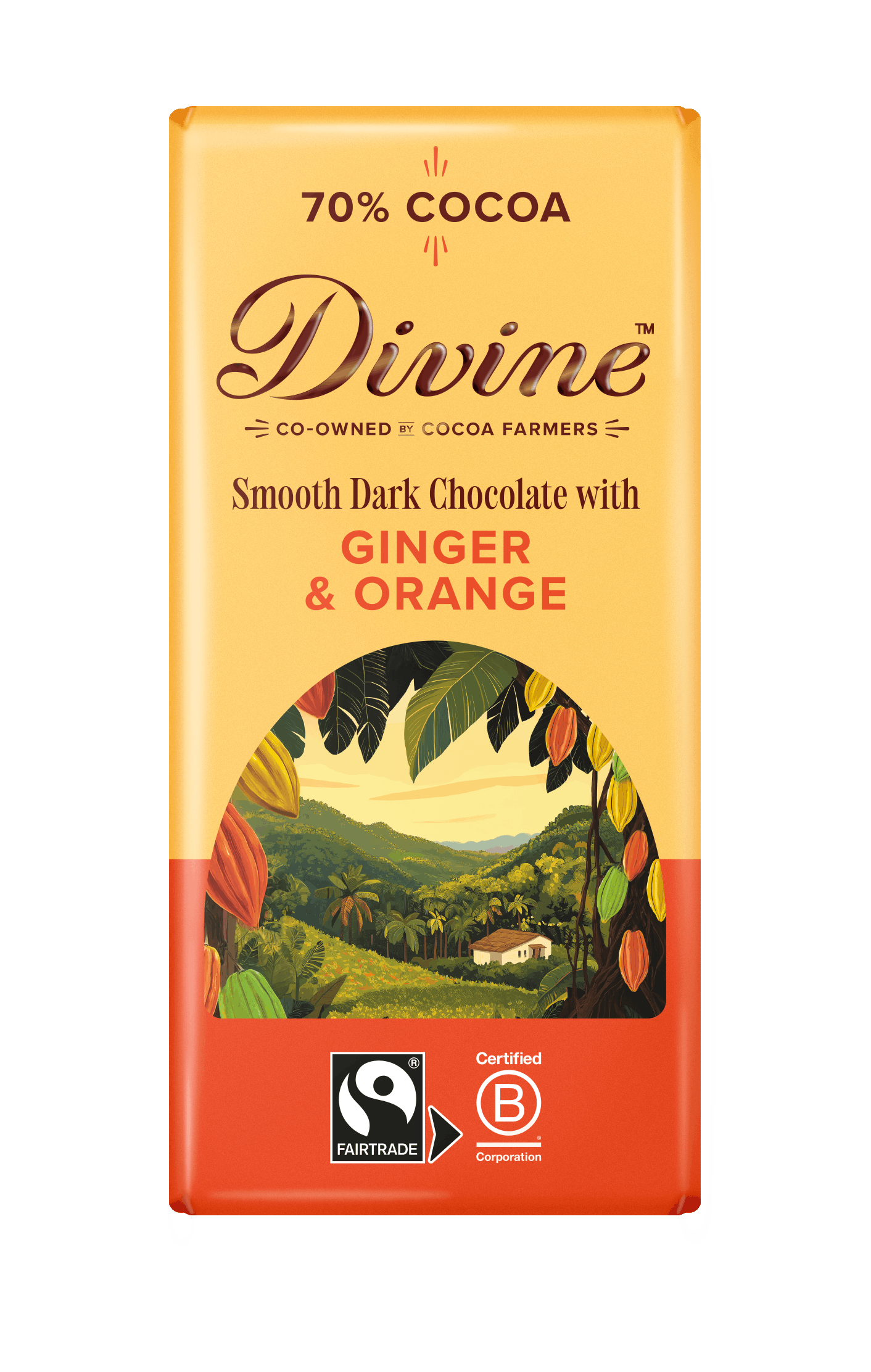Divine 70% Dark Chocolate with Ginger & Orange