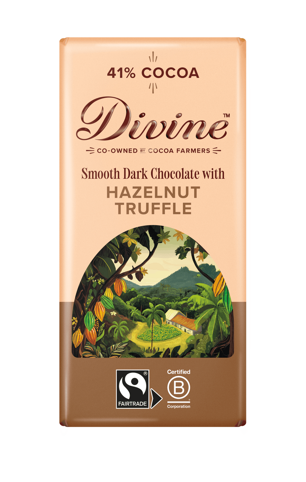 Divine Dark Chocolate with Hazelnut Truffle