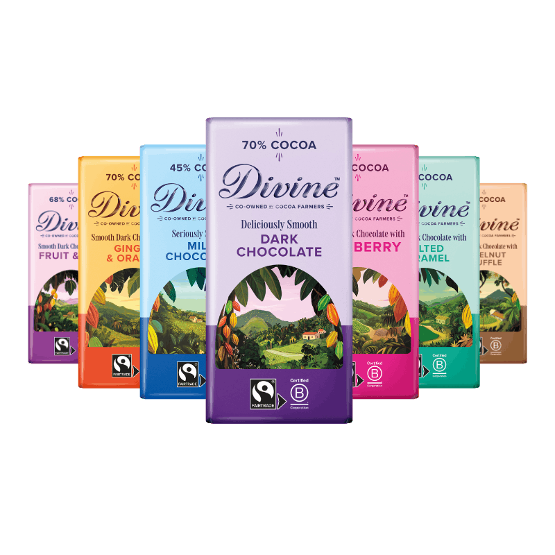 Variety Bundle - 7 Pack